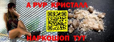 ешки Кингисепп