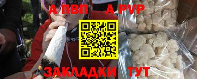 ешки Кингисепп