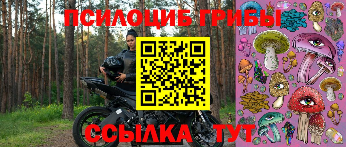 Псилоцибиновые грибы мицелий  Галлюциногенные грибы Magic Shrooms  Красный Сулин  Вход с VPN 